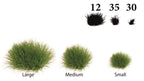 Woodland Tuft