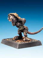 Freebooter's Fate | Shed-Lin (Limitiert)