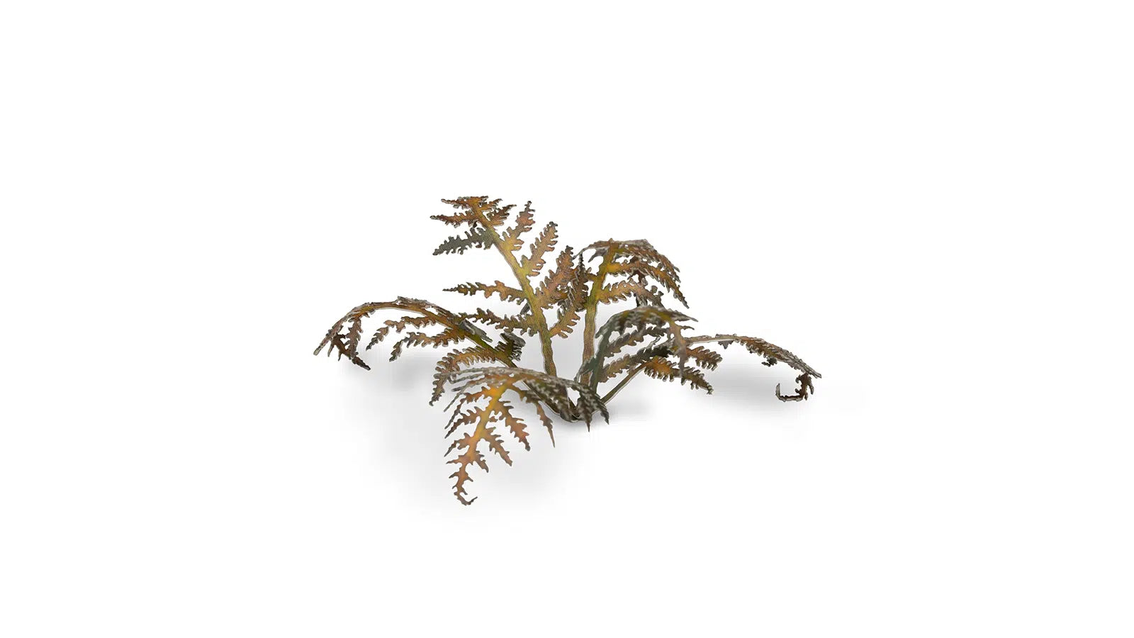 GamersGrass | Laser Plants – Dry Bracken
